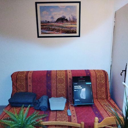 Residence Du Parc Des Tilleuls De Lyon 82 M2 Pkg Free Kültér fotó